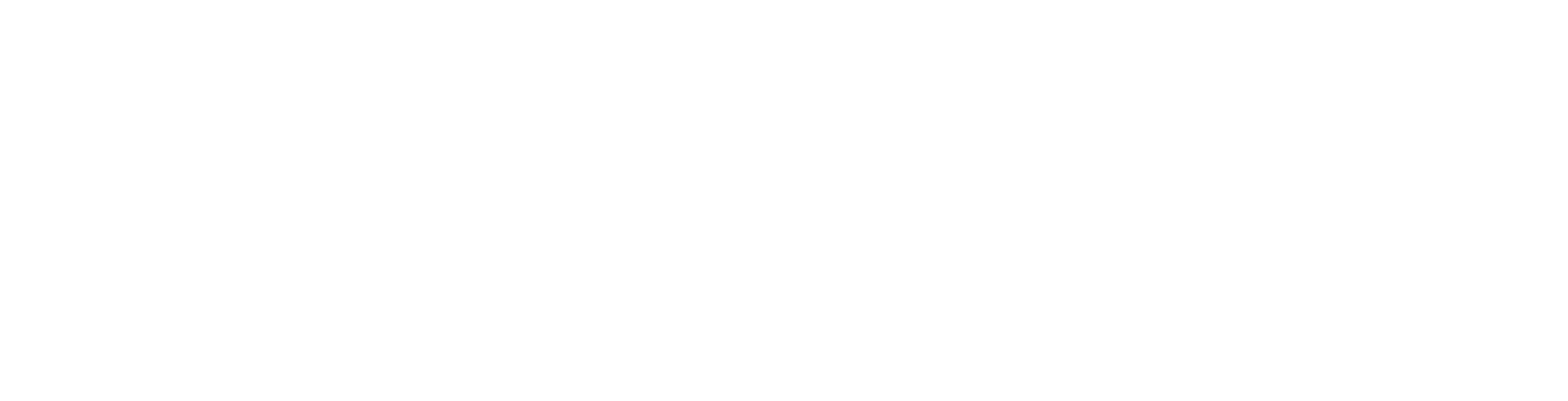 Future IT Partner Logo